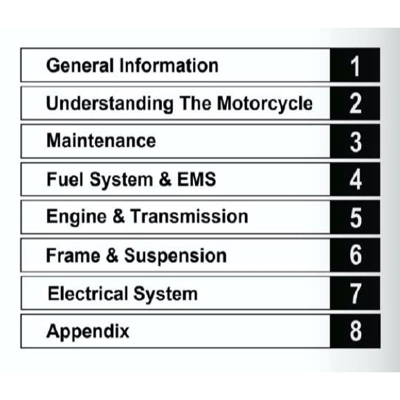MODENAS DOMINAR 250 DM250 2023+ Full Manual Set – Repair & Maintenance Manual and Spare Parts Catalog and User Handbook
