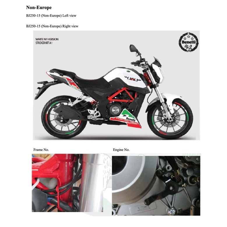 BENELLI TNT25 BN251 2014-2017 Full Manual Set – Repair & Maintenance Manual and Spare Parts Catalog and User Handbook