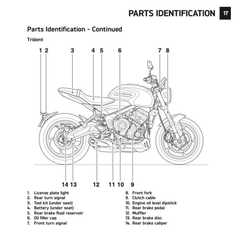 TRIUMPH TRIDENT 660 2021+ Full Manual Set – Repair & Maintenance Manual and User Handbook